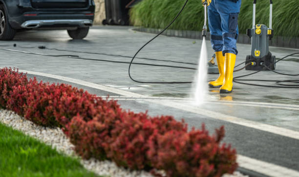 Best Driveway Pressure Washing  in Dike, IA